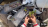 Thumbnail 34