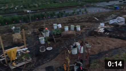 Planting
[/the-ferment-farm/posts/categories/planting]