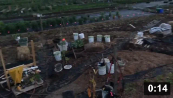 Planting
[/the-ferment-farm/posts/categories/planting]