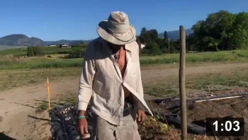 Nuthing like a good bed wetting footsie.

Mulch Gardening
[/the-ferment-farm/posts/categories/mulch-gardening]
Irrigation
[/the-ferment-farm/posts/categories/irrigation]