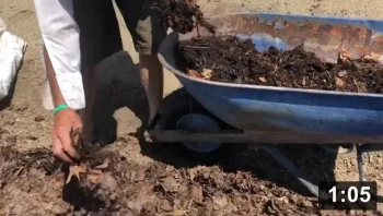 Soil inoculation

Guides
[/the-ferment-farm/posts/categories/guides]
Mulch Gardening
[/the-ferment-farm/posts/categories/mulch-gardening]