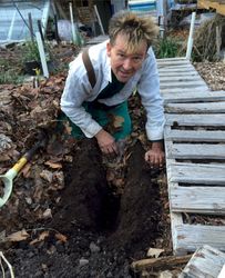 prepping soil (for carrot seed)