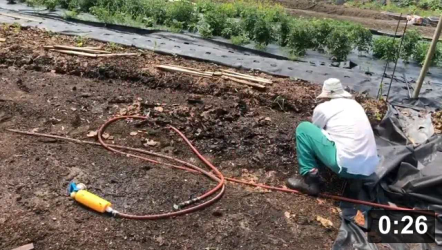 Mulch Gardening
[/the-ferment-farm/posts/categories/mulch-gardening]