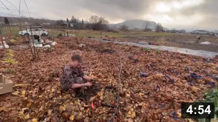 Happy New Year from the Ferment Farm!

Harvesting carrots and beets in January. Result of hydro seeding carrots with
icing bags
[/the-ferment-farm/posts/year/2023#&pid=valleys_n_mountains_n_beet_plant_121]

Mulch Gardening
[/the-ferment-farm/posts/categories/mulch-gardening]
Harvesting
[/the-ferment-farm/posts/categories/harvesting]