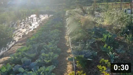 Almost exactly where i want the water!

Irrigation
[/the-ferment-farm/posts/categories/irrigation]