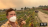 Thumbnail 163