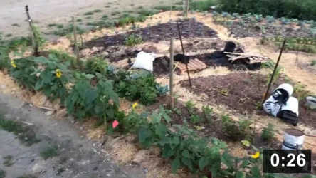 Irrigation
[/the-ferment-farm/posts/categories/irrigation]