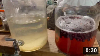 Fermenting
[/the-ferment-farm/posts/categories/fermenting]