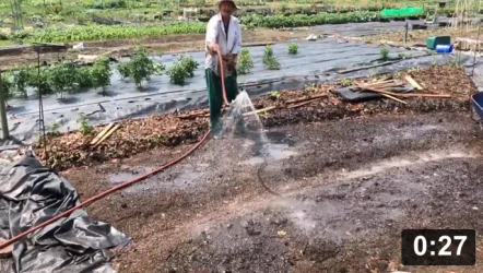 Planting
[/the-ferment-farm/posts/categories/planting]
Just for Fun
[/the-ferment-farm/posts/categories/just-for-fun]
Ferment Farm 5
[/the-ferment-farm/posts/categories/ferment-farm-5]
Mulch Gardening
[/the-ferment-farm/posts/categories/mulch-gardening]