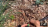 Thumbnail 25