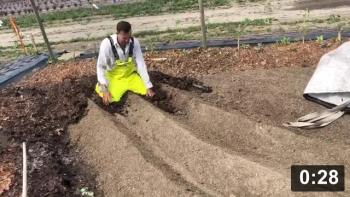 Carrot n beet beds next!

Guides
[/the-ferment-farm/posts/categories/guides]
Mulch Gardening
[/the-ferment-farm/posts/categories/mulch-gardening]