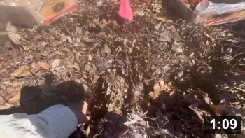 Ferment Farm #5: March check in.

Harvesting
[/the-ferment-farm/posts/categories/harvesting]