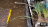 Thumbnail 30