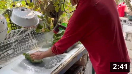 Spinach “Book” for my gut to read in the winter. Food sustainability via
freezing spinach.

Food Processing & Cooking
[/the-ferment-farm/posts/categories/food-processing-and-cooking]
Guides
[/the-ferment-farm/posts/categories/guides]