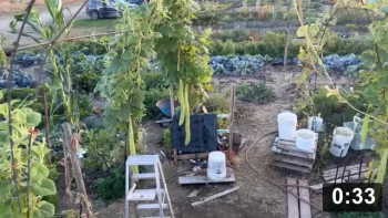 But so much still growing.

Irrigation
[/the-ferment-farm/posts/categories/irrigation]