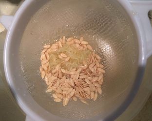 Seed washing