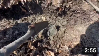 Vlog.9: SuperSoil Compost Bins at the Soil Lab. Let there be NEW BIN!

Notes:

 * “Learn the flexibility of a blade of grass in a hurricane, Grasshopper.”
   (KungFu ‘70ish). Blocks are easy to move around n be creative with.
 * Lined bottom of new bin to stop roots from invading n stealing nutrients.
 * Gathered some minerals for the Soil Lab from the Ferment Farm: Clay (most
   mineral diverse), animal poop, n sand mix.

Guides
[/the-ferment-farm/posts/categories/guides]
Mulch Gardening
[/the-ferment-farm/posts/categories/mulch-gardening]