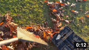 LOOK!!! SQUIRREL (food, that is). City Park has lots. My squirrels go crazier
when i gift them with the best!

Harvesting
[/the-ferment-farm/posts/categories/harvesting]
Leaf Collecting
[/the-ferment-farm/posts/categories/leaf-collecting]