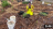 Thumbnail 32
