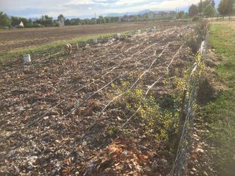 another shot of irrigation possibilities