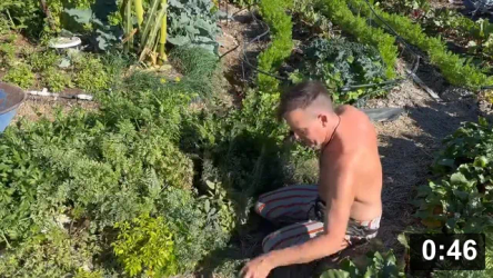 Happy Thanksgiving from the Ferment Farm!

Harvesting
[/the-ferment-farm/posts/categories/harvesting]