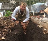 Mulch Gardening
