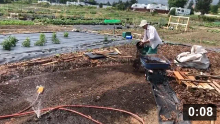 Mulch Gardening
[/the-ferment-farm/posts/categories/mulch-gardening]