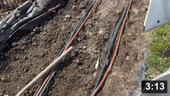 Vlog.12 Ferment Farm upkeep: NW perimeter Field Bindweed & vole trap.

Notes:

 * Bindweed (aka Morning Glory). Fabric removed, weeds identified.
 * Cover it up! Weed seeds can live for 5 years in soil. Dont give them light to
   activate them. And UV light prevents bare ground from the bacteria n bugs we
   want to break down & mix the organic matter and minerals.

Mulch Gardening
[/the-ferment-farm/posts/categories/mulch-gardening]