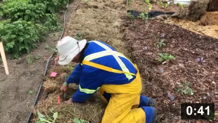 Irrigation
[/the-ferment-farm/posts/categories/irrigation]
Planting
[/the-ferment-farm/posts/categories/planting]