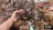 Thumbnail 118