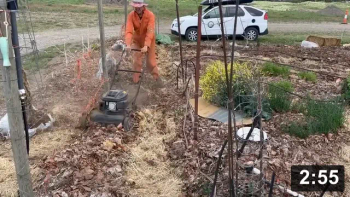 Ferment Farm No.3: Prepping the cabbage beds.

Problem/Solution: Leafs were too fluffy due to almost no snow or moisture all
winter to pack them down. So….mow!

Also so many super staple foods are biannual (they grow like crazy the first
year and store that energy in the root (the brain of the plant). The second year
they explode into making babies as soon as possible. Gettn sexy flowers to bring
in the pollinator.

Guides
[/the-ferment-farm/posts/categories/guides]
Mulch Gardening
[/the-ferment-farm/posts/categories/mulch-gardening]