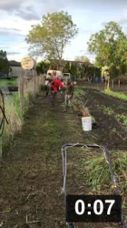 Ferment Farm 1. Working the perimeter. A big THANKS to Erica Massey and her
great workin boys!

Mulch Gardening
[/the-ferment-farm/posts/categories/mulch-gardening]