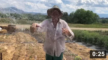 How to garden in the heat.

Mulch Gardening
[/the-ferment-farm/posts/categories/mulch-gardening]
Guides
[/the-ferment-farm/posts/categories/guides]