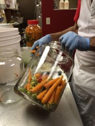 stuffing the jars before wet brining