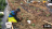 Thumbnail 17
