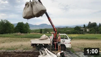Worm Manna from Heaven.

Mulch Gardening
[/the-ferment-farm/posts/categories/mulch-gardening]