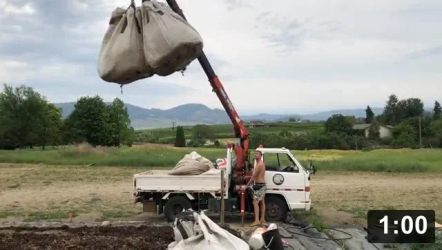 Worm Manna from Heaven.

Mulch Gardening
[/the-ferment-farm/posts/categories/mulch-gardening]