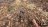 Thumbnail 36
