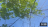 Thumbnail 67