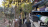 Thumbnail 145