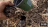 Thumbnail 16