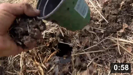 Healthy soil. Cant argue with worms!

Mulch Gardening
[/the-ferment-farm/posts/categories/mulch-gardening]