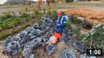 Spreading n stomping…

Cute Animals
[/the-ferment-farm/posts/categories/cute-animals]
Planting
[/the-ferment-farm/posts/categories/planting]