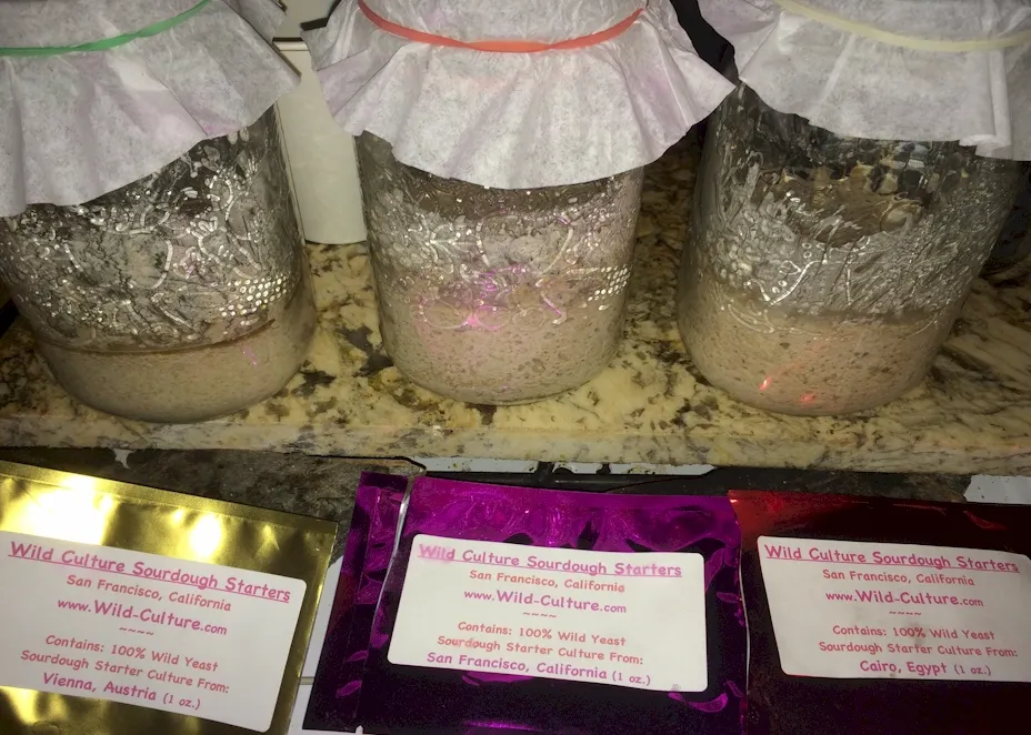 Sourdough starters