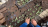 Thumbnail 36
