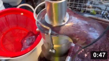 Rotten grape juice in the making!

Juicing
[/the-ferment-farm/posts/categories/juicing]