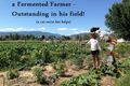 Daniel at the ferment farm with a cat on his hat