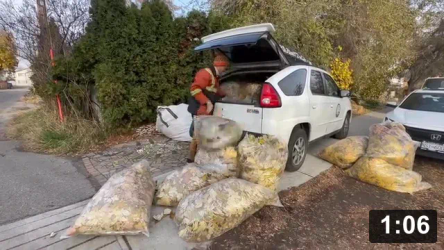 Just gotta love the Aztek!

Cute Animals
[/the-ferment-farm/posts/categories/cute-animals]
Leaf Collecting
[/the-ferment-farm/posts/categories/leaf-collecting]
