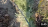 Thumbnail 63