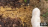 Thumbnail 174